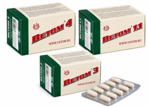 Zestaw probiotyków Vetom 