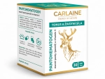 Pantohematogen "Energia i Witalność" 30 kaps 500 mg