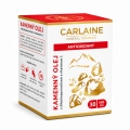 Olej kamienny białe mumio Antioxidant 30 kaps 500 mg.png