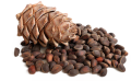 kedrik.png